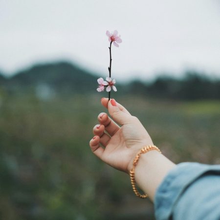 thirteen-j-jnPDoUx93J0-unsplash (1)